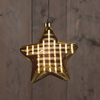 Hanger ster glas ruit led 19cm gd