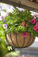 Hanging basket zwrt h20d35cm - afbeelding 4