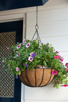 Hanging basket zwrt h20d35cm - afbeelding 2