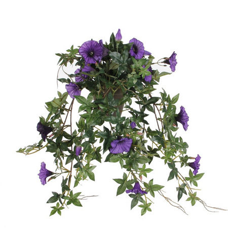 Hangpetunia l50b45h25cm d.paars