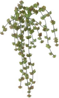 Hangplant succulent groen l50cm helder (Zijde-plant)