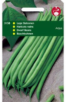 Haricot vert argus 50g - afbeelding 3