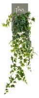 Hedera hanger l55cm groen