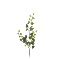 Hederatak l63b15h4cm groen