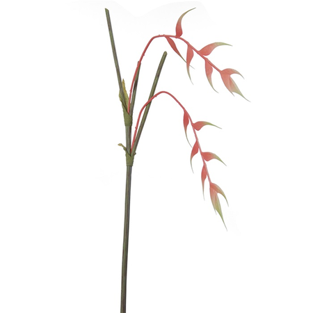 Heleconiasteel l75cm roze