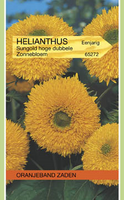 Helianthus annuus sungold hoog 3g - afbeelding 3