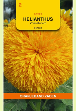 Helianthus annuus sungold hoog 3g - afbeelding 1