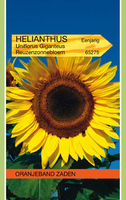 Helianthus annuus uniflorus giga 4g - afbeelding 3