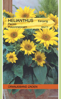 Helianthus pacino potzonneblm 0.75g - afbeelding 3