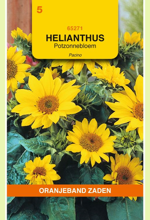 Helianthus pacino potzonneblm 0.75g - afbeelding 1