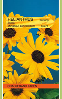 Helianthus stella mini.zonneblm 1g - afbeelding 3