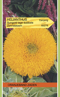 Helianthus sungold geel laag 2g - afbeelding 3