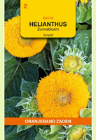 Helianthus sungold geel laag 2g - afbeelding 1