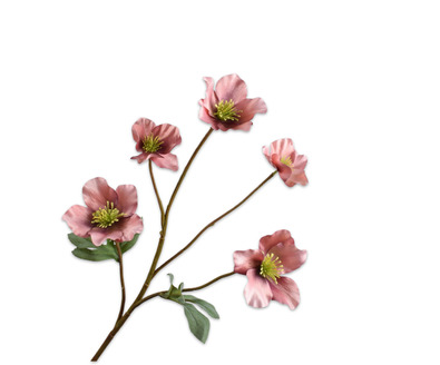 Helleborustak l77cm mauve