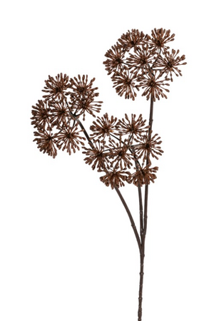 Heracleumsteel l85cm bruin