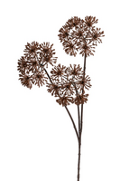 Heracleumsteel l85cm bruin