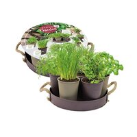 Herb garden - 7st - taupe