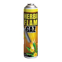 Herbiflam gasfles tbv onkruidbrander 600ml