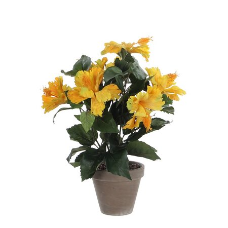 Hibiscus in pot d30h40cm geel (Zijde-plant)