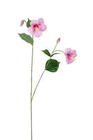 Hibiscussteel l110cm roze