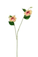 Hibiscussteel l110cm zalm/roze