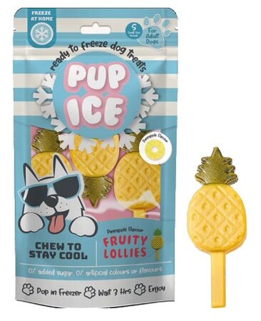 Hondenijsje fruit lollie ananas a3