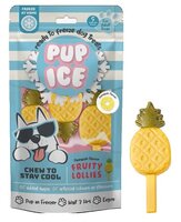 Hondenijsje fruit lollie ananas a3