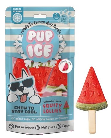 Hondenijsje fruit lollie meloen a3