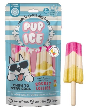 Hondenijsje raket yogh./aardbei a2