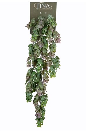 Hop hanger l65cm grn/paars header