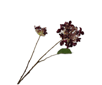 Hortenisasteel l71cm bordeaux