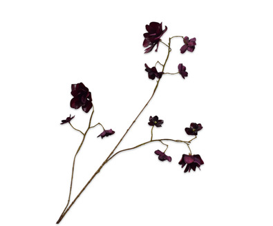 Hortenisasteel l75cm bordeaux