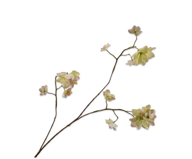 Hortenisasteel l75cm groen/roze