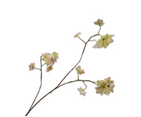 Hortenisasteel l75cm groen/roze