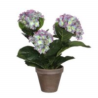 Hortensia in pot d35h40cm paars (Zijde-plant)