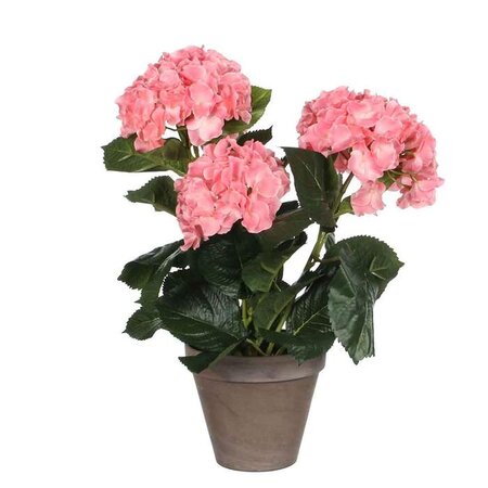 Hortensia in pot d35h40cm roze (Zijde-plant)