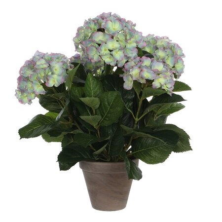 Hortensia in pot d45h45cm l.paars (Zijde-plant)