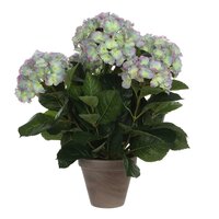Hortensia in pot d45h45cm l.paars (Zijde-plant)