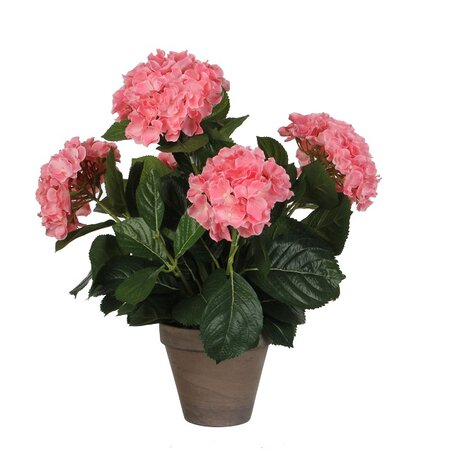 Hortensia in pot d45h45cm roze (Zijde-plant)