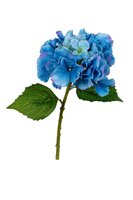 Hortensia l32cm blauw