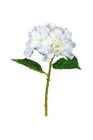 Hortensia l32cm wit