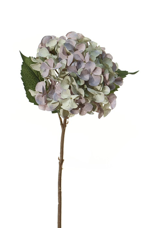 Hortensiasteel l45cm blauw/groen (Zijde-bloem)