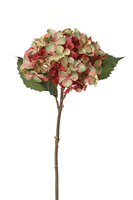 Hortensiasteel l45cm roze/groen (Zijde-bloem)