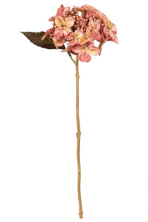 Hortensiasteel l50cm roze