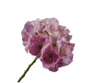 Hortensiasteel l51cm lila/roze