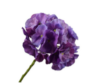 Hortensiasteel l51cm paars