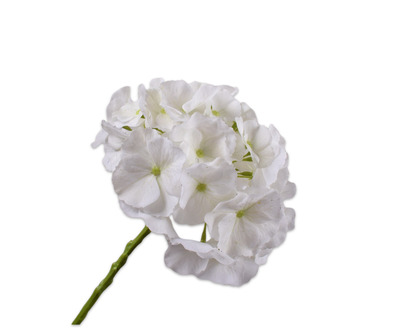 Hortensiasteel l51cm wit