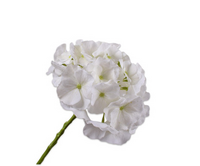 Hortensiasteel l51cm wit