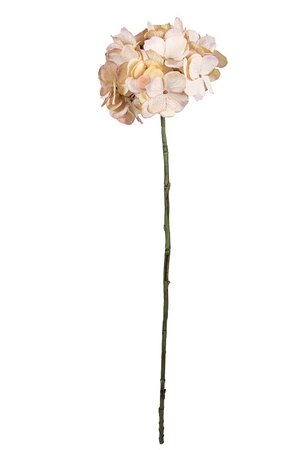 Hortensiasteel l60cm roze/creme