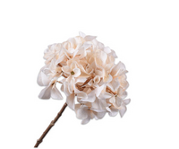 Hortensiasteel l68cm creme